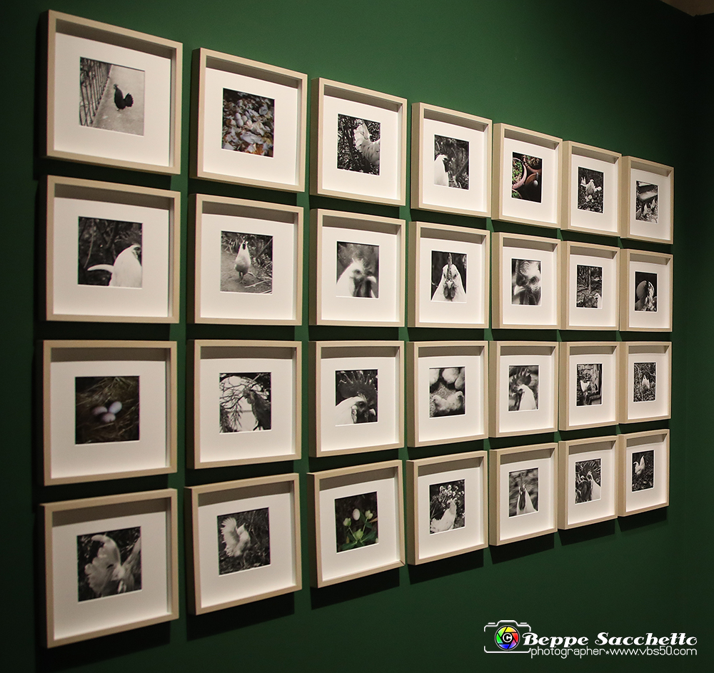 VBS_1328A - Castello di Miradolo - Mostra Oltre il giardino l'Abbecedario di paolo Pejrone.jpg